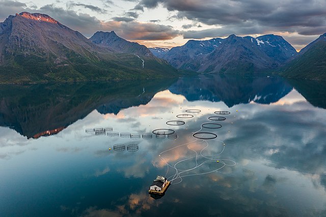 Bildet viser et sjøanlegg i Norge. I bakgrunnen ses høye fjell. Vannet er rolig og speiler fjellene.