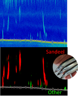 Bildet viser hvordan vår metode oppdager og karakteriser havsil. Bildet er delt i to, det nederste del merker detekter havsil i rødt mot en svart bakgrunn.
