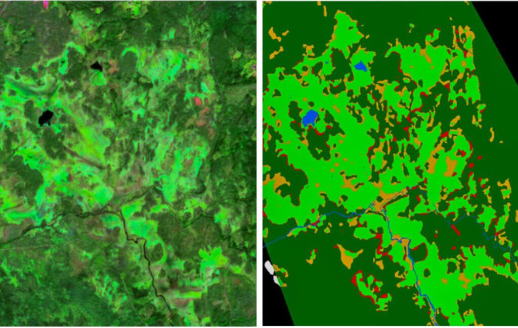 To bilder side om side. Til venstre: Multispektralt satellittbilde fra Sentinel-2 brukt til kartlegging av myr, her fra Trysil-regionen i Norge. Til høyre: Prediksjonsresultat fra grunnmodellen FM4CS, med fargekoder for riktig myr (lysegrønn), riktig annet land (mørkegrønn), vann (blå), manglende myr (gul) og feilprediksjon (rød).