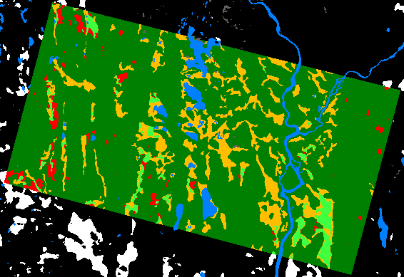 Kartleggingsresultater basert på snø- og skyutsatt mosaikk fra 2020. Snødekte myrområder er ikke kartlagt.