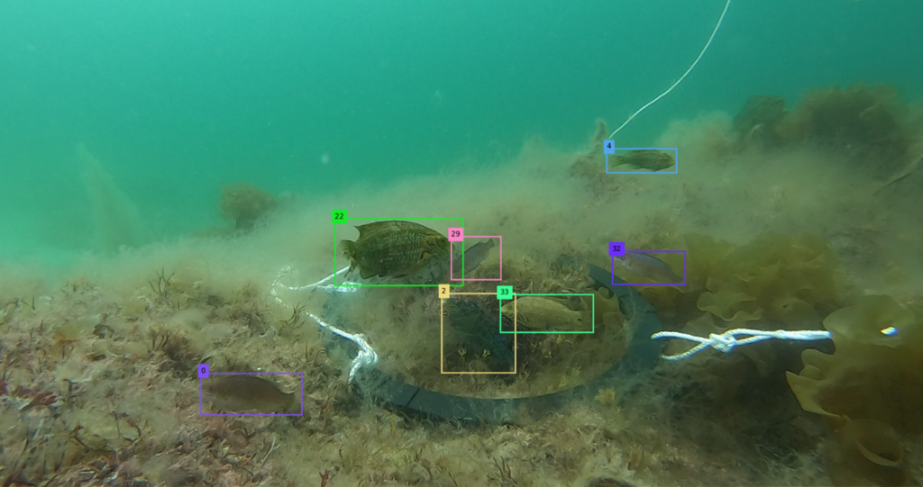 This is an underwater image of a seabed. Important elements, such as fish, are highlighted with green, red and yellow dots. The water is green, the seabed is brown and the image is somewhat murky.