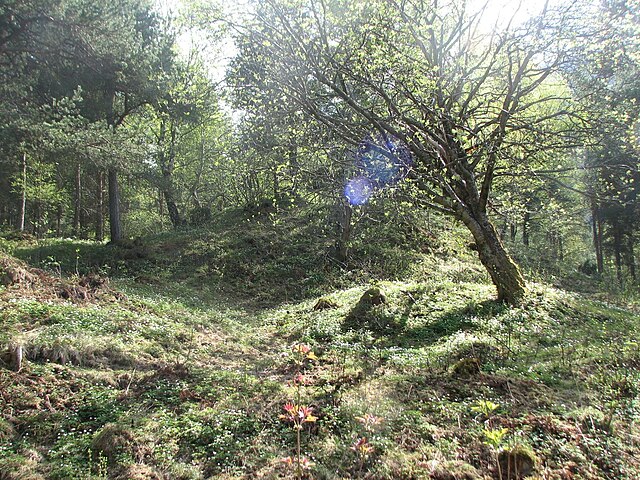 The images shows the burial mound at Løykja, Norway. Two large grassy mounds are covered with trees and thickets. The image is taken in the summer and the vegetation is very green.