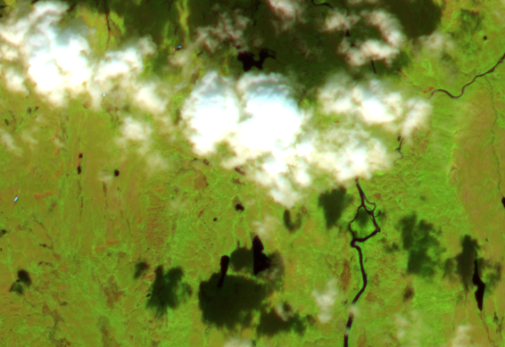 Satellite image showing how clouds cover parts of the peatland, making mapping difficult.