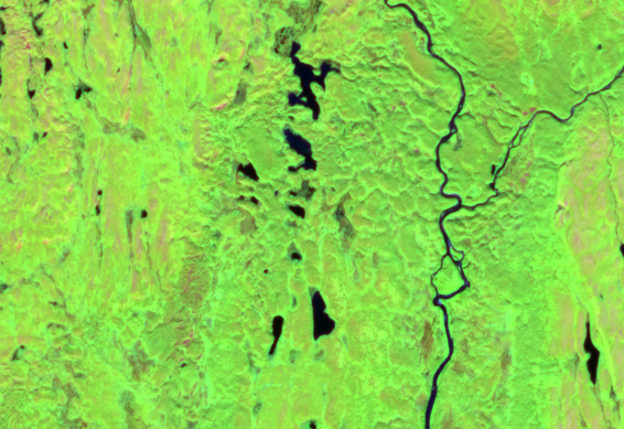 SComposite, cloud-free mosaic from Sentinel-2 (2016–2024) over Roancejávri. Images are merged into a seamless whole, and vegetation is clearly visible throughout the area.