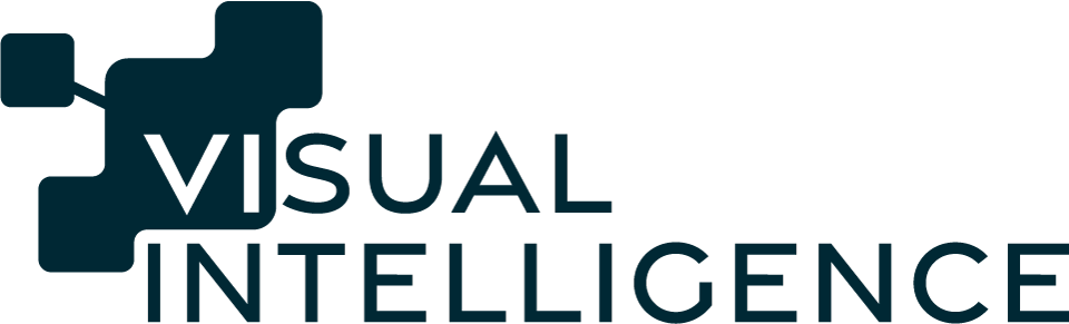 Visual Intelligence logo in black